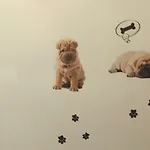 דירה Casa Del Cucciolo Con Parcheggio Privato