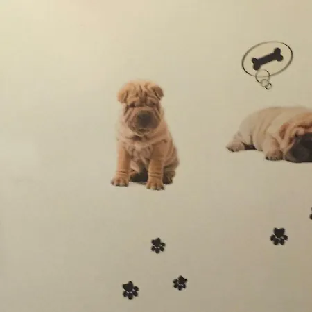 Lejlighed Casa Del Cucciolo Con Parcheggio Privato